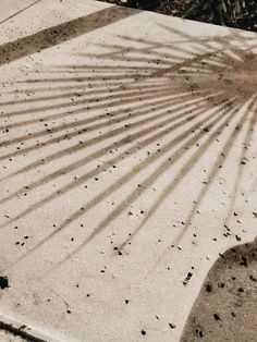 the shadow of a skateboarder is cast on concrete