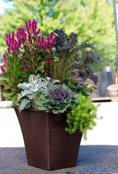 a potted planter filled with purple flowers and greenery