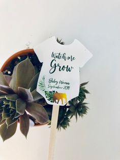 a plant with a sign that says watch me grow