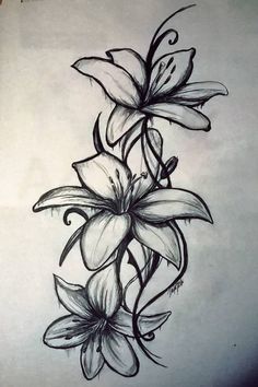 a drawing of some flowers on a sheet of paper with black and white pencils