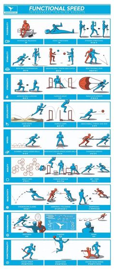 an info sheet showing the different types of skis and snowboarders in various positions