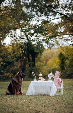 a dog sitting next to a table with a cake on it and a teddy bear