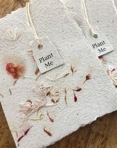 two tags with plants on them that say plant me and plant me next to each other