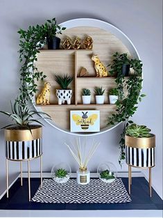 some plants are sitting on shelves in front of a wall mounted shelf that is decorated with potted plants