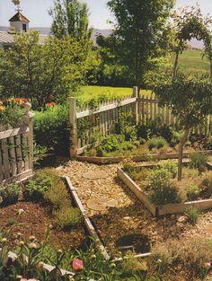 a garden with lots of plants and flowers on the ground near a fenced in area