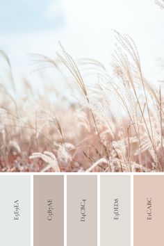 the color palette is neutral and pale with some brown, pink, and white accents