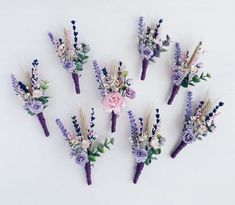 six purple and white flowers are arranged in the shape of an arrow on a white background