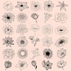 flowers drawn in black and white on a pink background