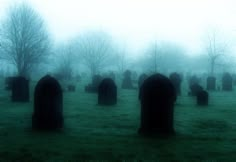 an image of foggy graveyard with headstones in the foreground and trees in the background