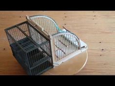 a bird cage sitting on top of a wooden table