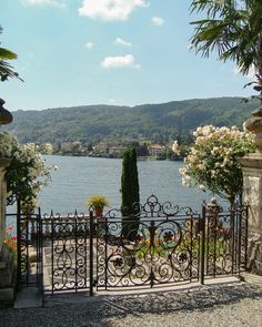 an iron gate with flowers and trees on the other side near a body of water