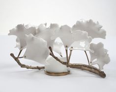 a white vase sitting on top of a table next to a branch filled with flowers