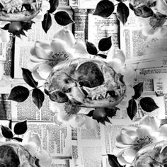 the skull is surrounded by flowers and newspaper pages, as if it were in black and white