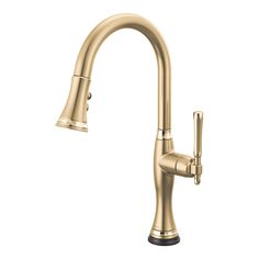 the kitchen faucet is shown in gold with an angled spout and side spray