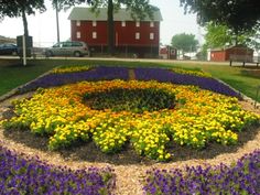 a circular flower bed in the middle of a park with purple and yellow flowers around it