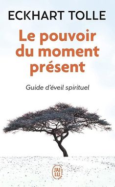 the cover of le pouvoir du moment present guide d'eveil spirituel