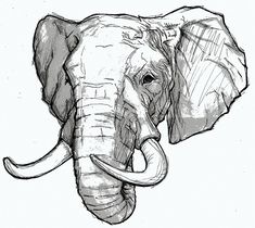 an elephant's head is drawn in black and white