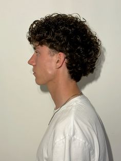 Caesar Haircut Men Curly, Half Mullet Curly Hair Men, Curly Hair Mens Haircuts, Tight Perm Men, Mod Cut Mens Curly, Greek Curls Men, Curly Hair Wolf Cut Men, Mod Haircut Curly, Modern Mullet Curly Hair Men