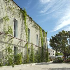 a building with vines growing on the side of it