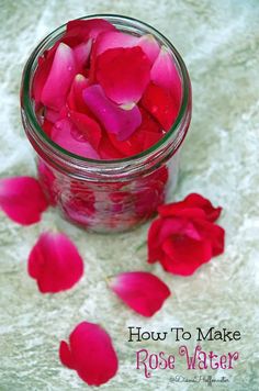 Easy DIY Rose Water Uses For Rose Water, Make Rose Water, Rose Water Benefits, Homemade Rose Water, Rose Water Diy, Fresh Rose Petals, How To Make Rose, Natural Beauty Recipes, Rose Bushes