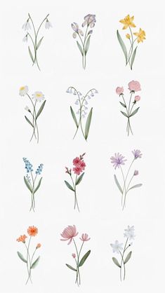 various flowers are shown in different colors and sizes on a white background with the words,'wildflowers '