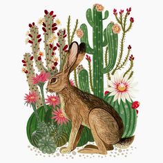 a drawing of a rabbit sitting in front of some cactus plants and cacti