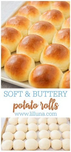 soft and buttery potato rolls on a baking sheet with text overlay that reads soft and buttery potato rolls