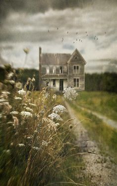 an old house in the middle of a field with tall grass and wildflowers