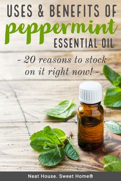 Peppermint oil is very versatile. Use it to deodorize your home, and treat common ailments. Here are 20 peppermint oil uses and its benefits. #peppermintoil #pepperminteo #homeremedies #neathousesweethome Cannoli Bites Recipe, Cannoli Bites, Peppermint Essential Oil Benefits, Pepermint Oil, Peppermint Essential Oil Uses, Toothache Remedies, Peppermint Oil Benefits, Peppermint Oil Uses, Peppermint Tea Benefits