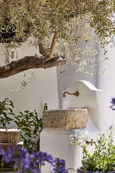 an outdoor water fountain surrounded by plants and potted trees in front of a white building