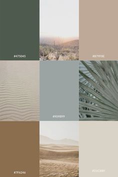 several different shades of brown, green and beige with the words desert on them in white