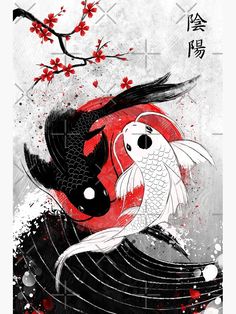 Koi Fish, Yin Yang, Koi, Fish, Black And White, Water, Red, White, Black