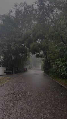 an empty street in the rain with trees on both sides