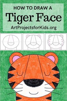 how to draw a tiger face for kids with step by step instructions on the front