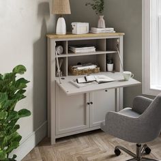 a desk with a chair, lamp and bookshelf next to a plant in a room