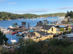 a harbor with boats and houses on the water