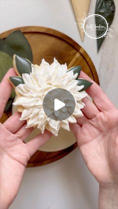 two hands holding a white flower with green leaves