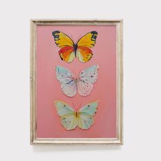 three framed butterflies on a pink background