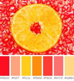 an orange is surrounded by pomegranates and color swatches for the image