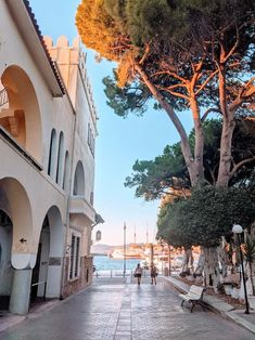 an empty street with benches and trees on both sides, along the water's edge