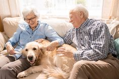 an elderly man and woman sitting on a couch petting a golden retriever dog