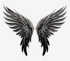 two black and white wings are shown against a white background with the words, i love you