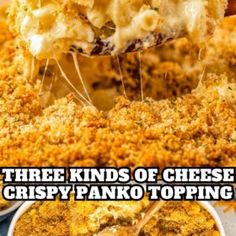 there are three kinds of cheese crispy panko toppings