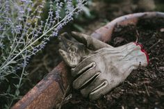 a pair of gardening gloves resting on the edge of a planter filled with dirt