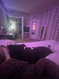 two dogs laying on top of a bed in a room