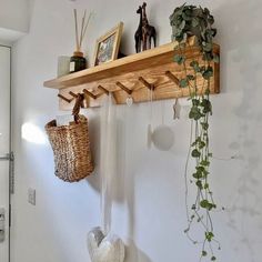 some plants hanging from a wooden shelf in a room with white walls and flooring