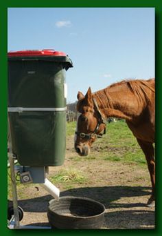 a brown horse standing next to a trash can and a green recycler