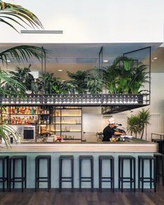 the bar is decorated with plants and potted plants