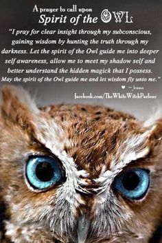 an owl with blue eyes and a poem written in the background that says spirit of the owl