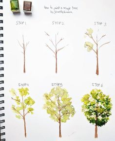 four different types of trees are shown on a white board with markers and pencils